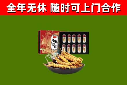 福建省回收冬虫夏草价格