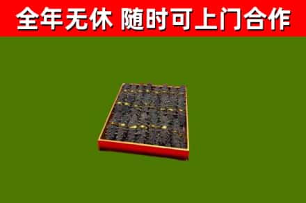 福建省回收海参